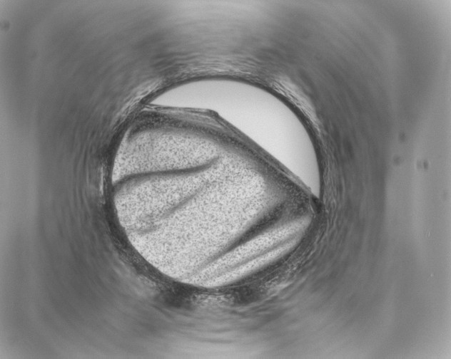 X0000086970115200705141700