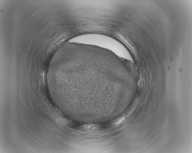 X0000086970117200705141700