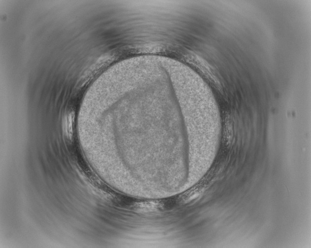 X0000086970118200705141700