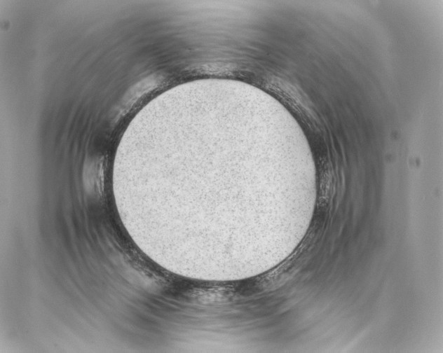 X0000086970120200705141700