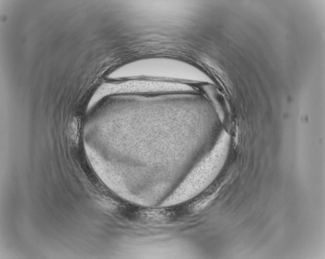 X0000086970121200705141700