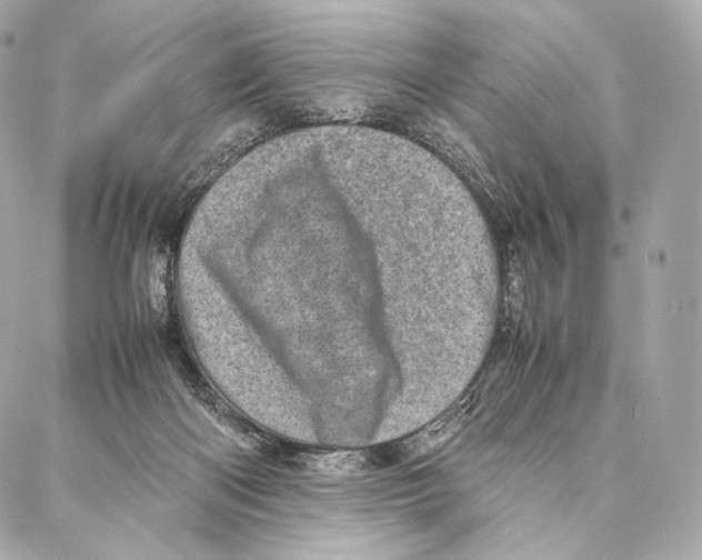 X0000086970122200705141700