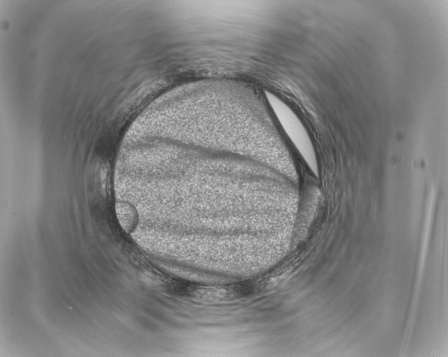 X0000086970123200705141700