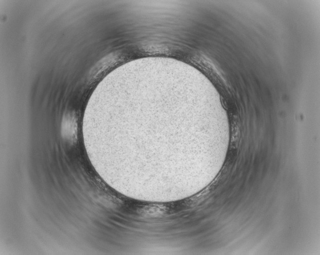 X0000086970124200705141700