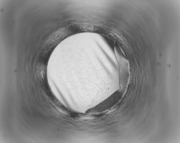 X0000086970125200705141700