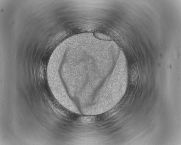 X0000086970126200705141700