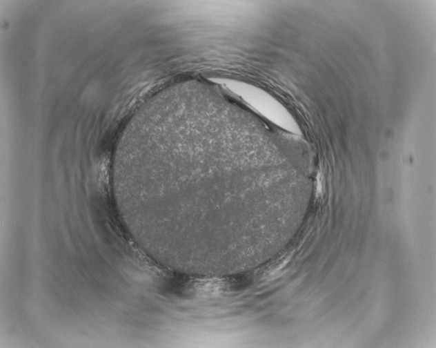 X0000086970127200705141700