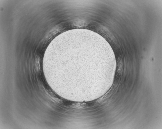 X0000086970128200705141700