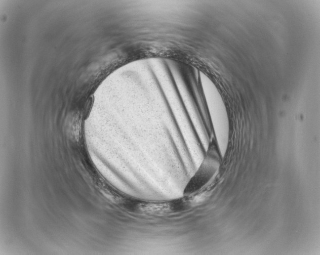 X0000086970129200705141700