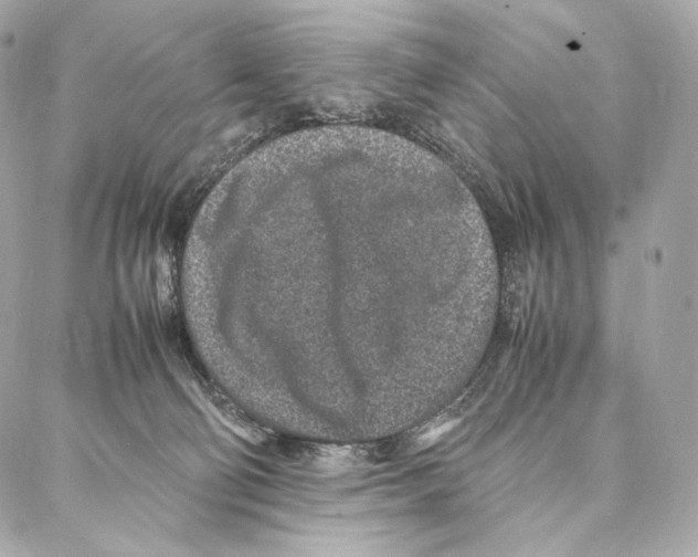 X0000086970130200705141700