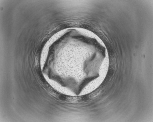 X0000086970131200705141700