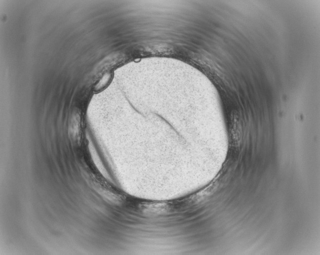 X0000086970132200705141700