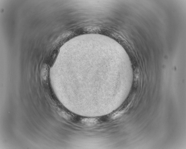 X0000086970133200705141700