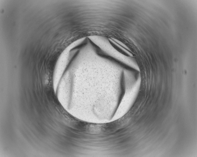 X0000086970134200705141700