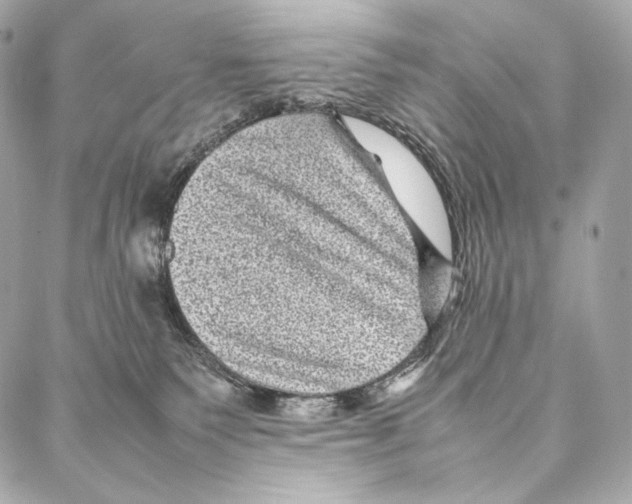 X0000086970135200705141700