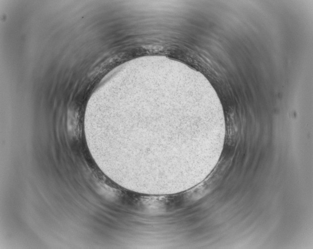 X0000086970136200705141700