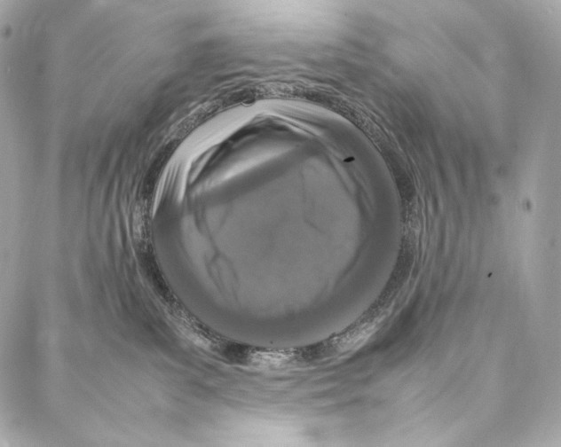 X0000086970139200705141700