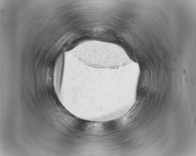 X0000086970140200705141700