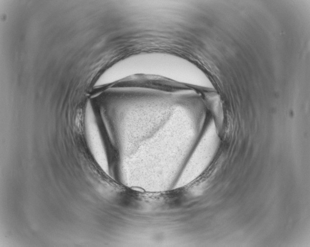 X0000086970141200705141700