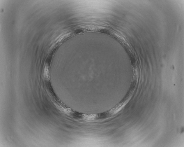 X0000086970143200705141700