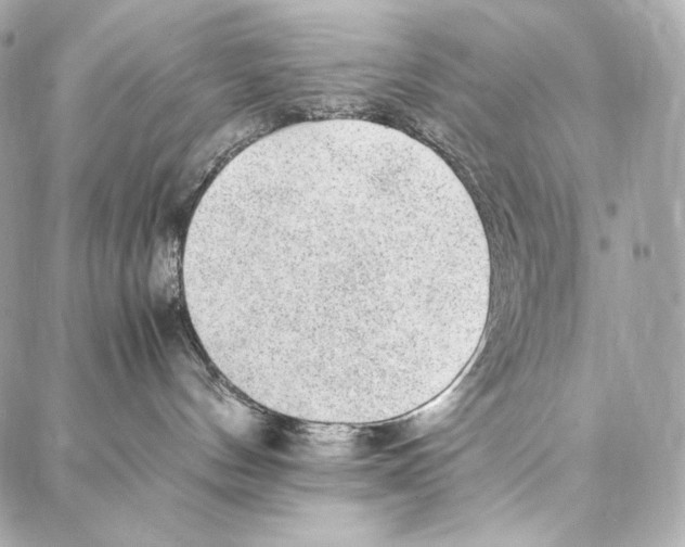 X0000086970144200705141700