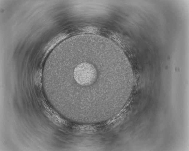 X0000086970146200705141659