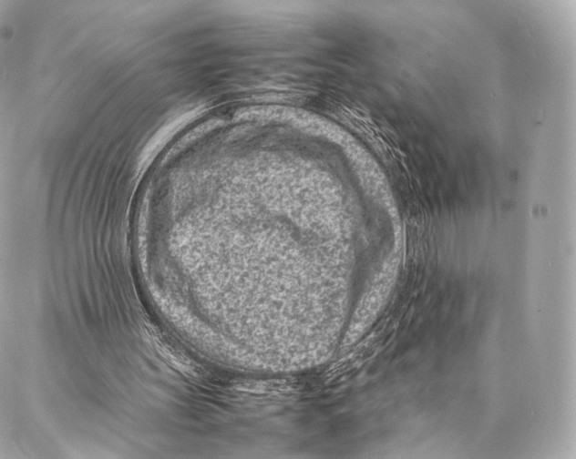 X0000086970147200705141659