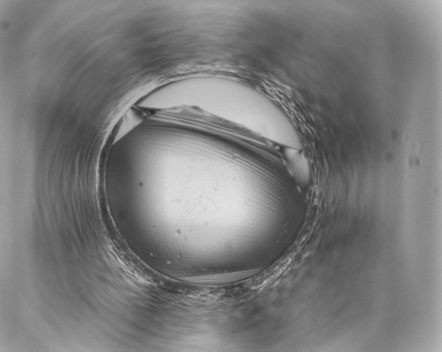 X0000086970148200705141659