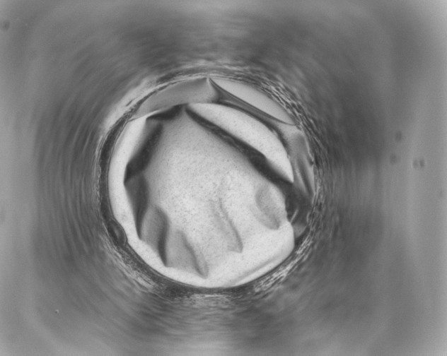 X0000086970150200705141659