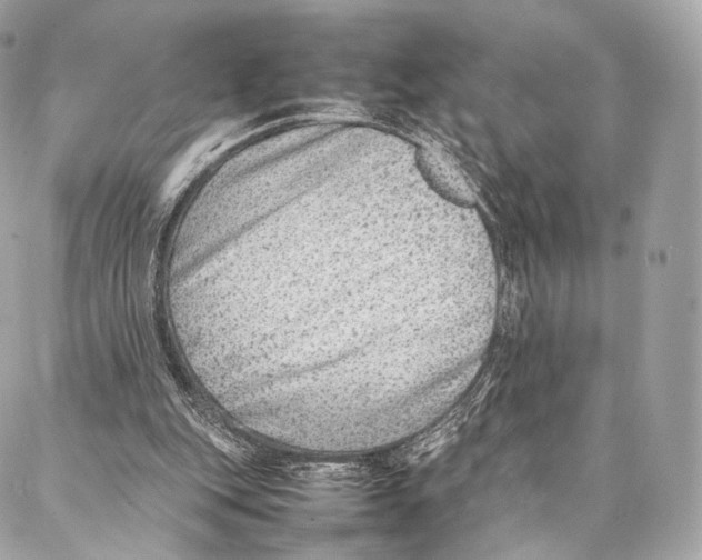 X0000086970151200705141659