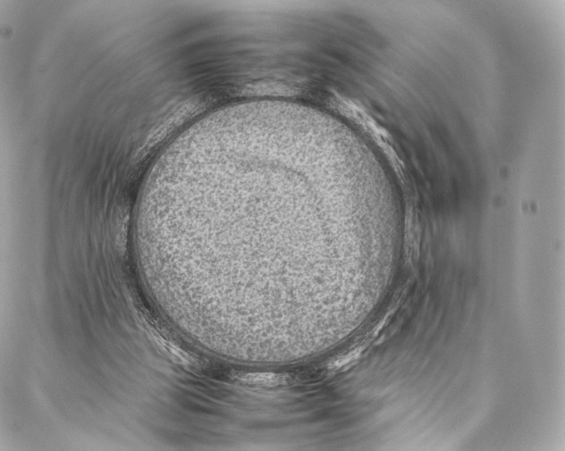 X0000086970153200705141659