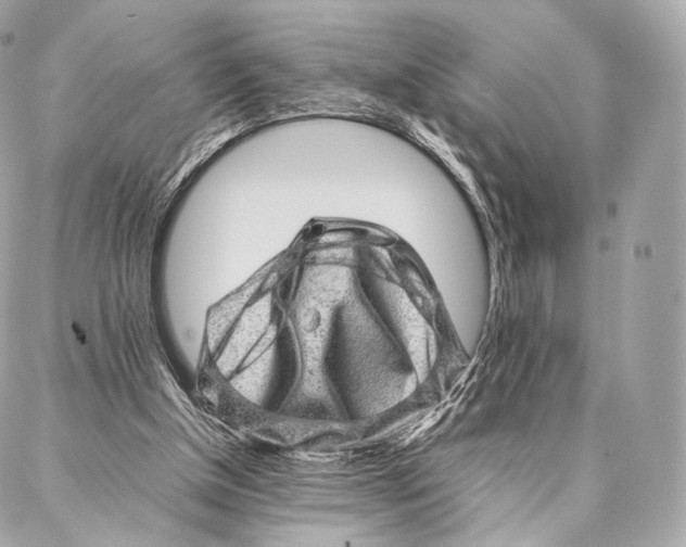 X0000086970154200705141659