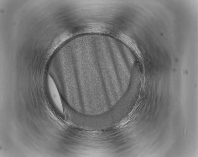 X0000086970156200705141659