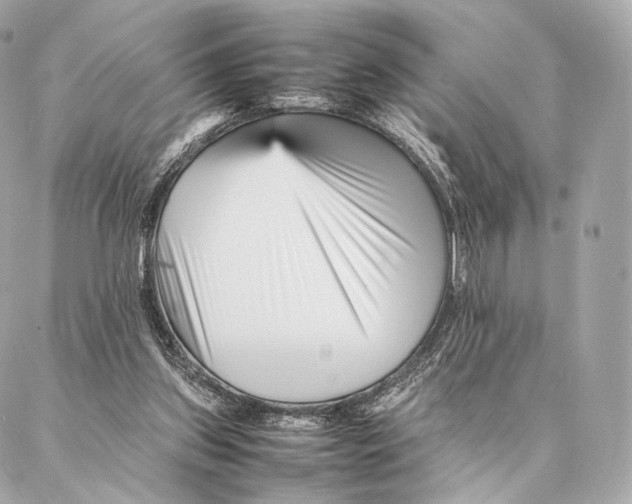 X0000086970157200705141659