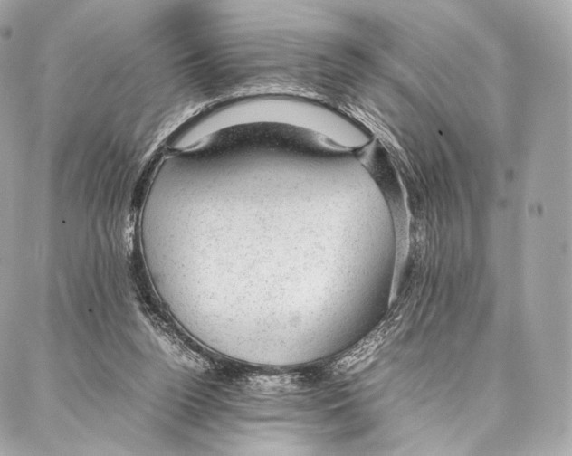 X0000086970160200705141659