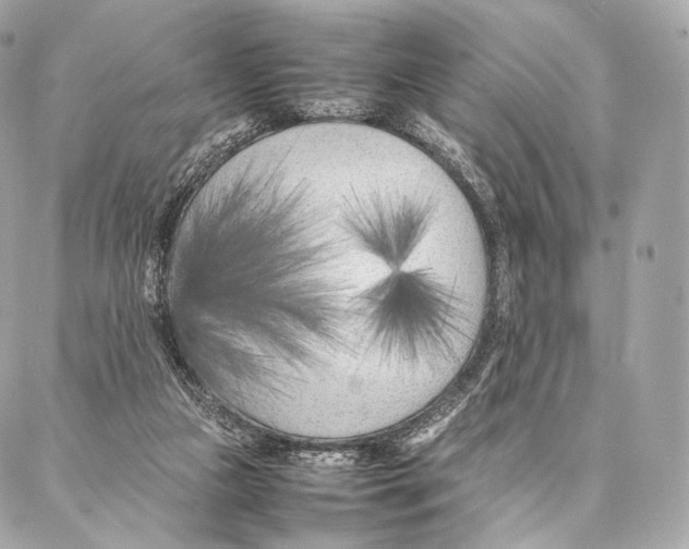 X0000086970161200705141700