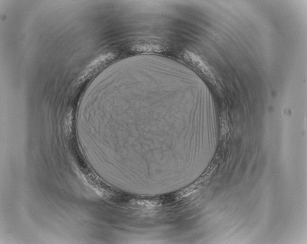 X0000086970163200705141700