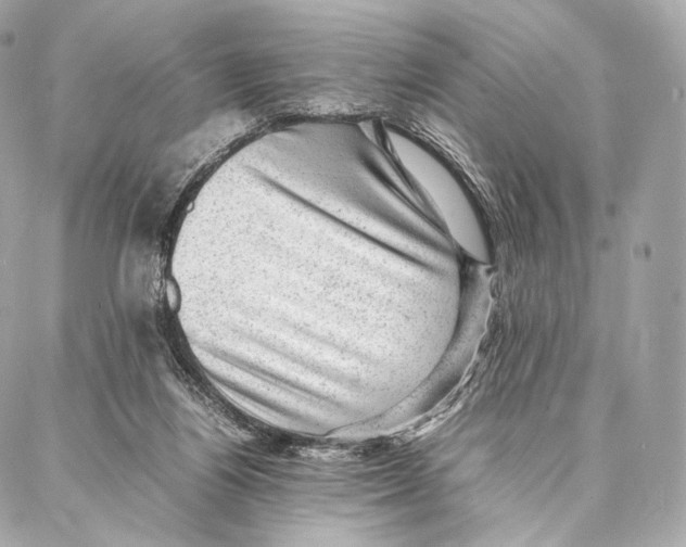 X0000086970164200705141700