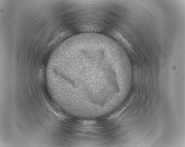 X0000086970165200705141700