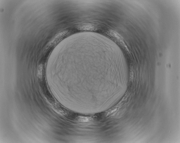 X0000086970167200705141700