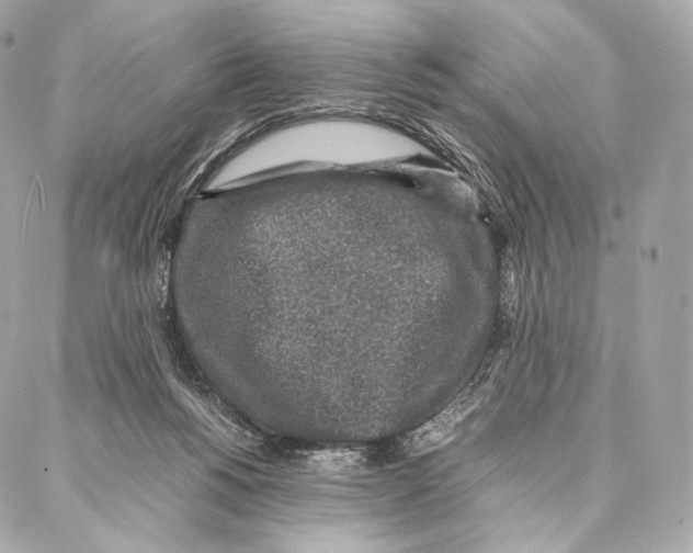 X0000086970168200705141700