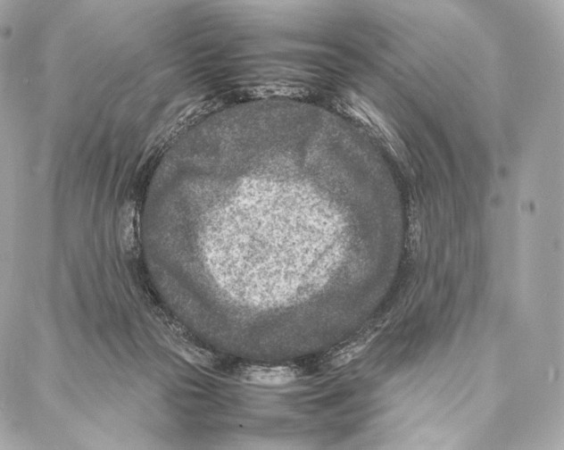 X0000086970169200705141700