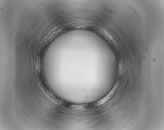 X0000086970170200705141700