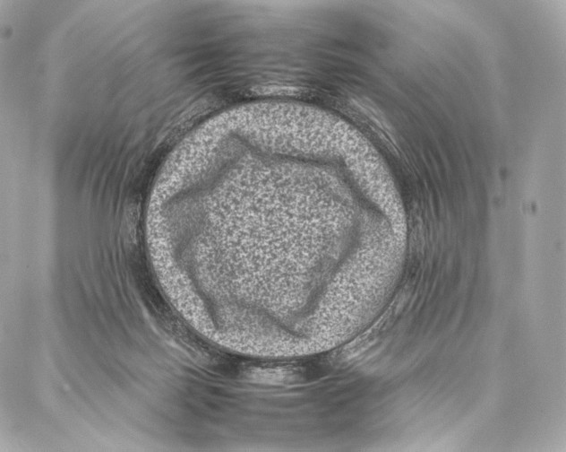 X0000086970171200705141700