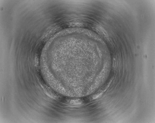 X0000086970173200705141700