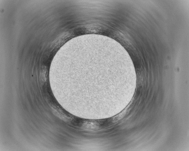 X0000086970174200705141700