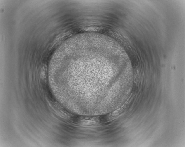 X0000086970175200705141700