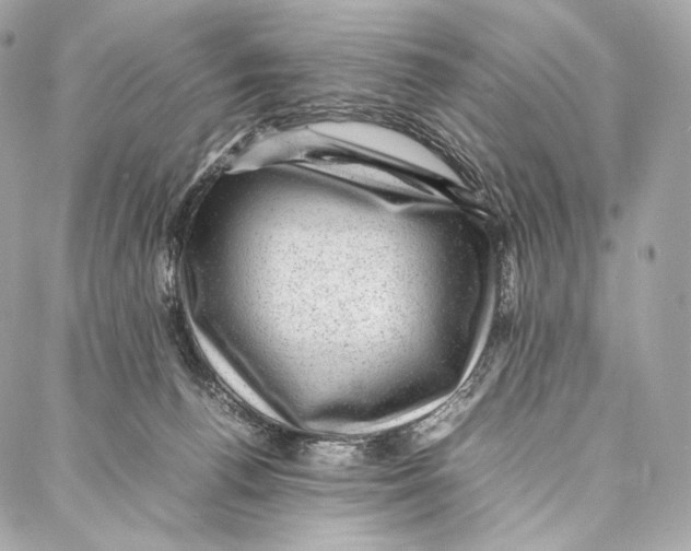 X0000086970176200705141700