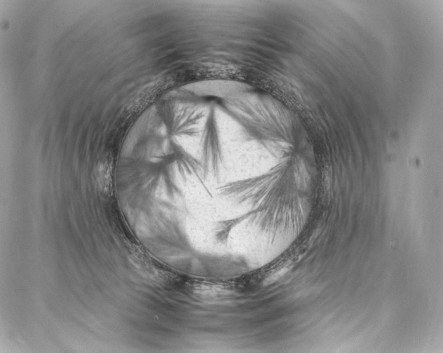 X0000086970177200705141700