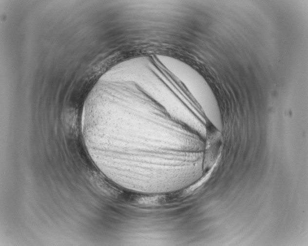 X0000086970178200705141700